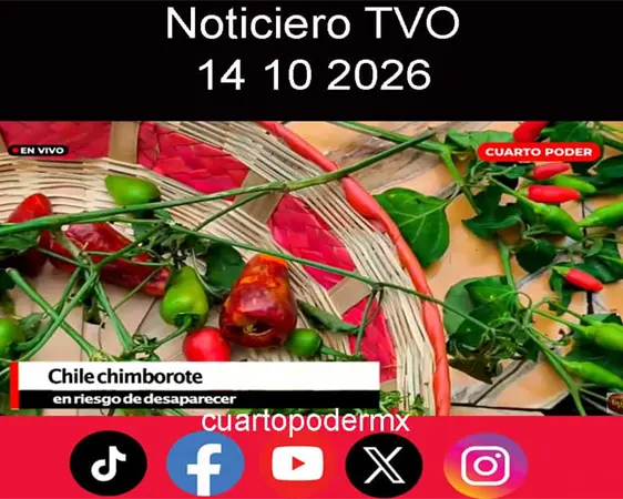 #Noticiero TVO #TuDiarioVivir con Adolfo Luján. #Noticiero TVO #TuDiarioVivir con Adolfo Luján.