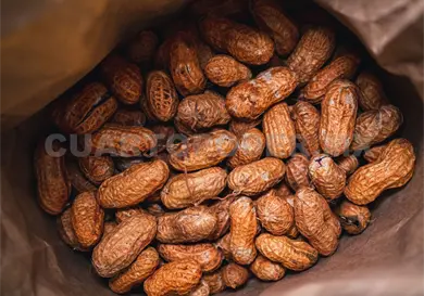 La entidad, tercer lugar en producción de cacahuate La entidad, tercer lugar en producción de cacahuate