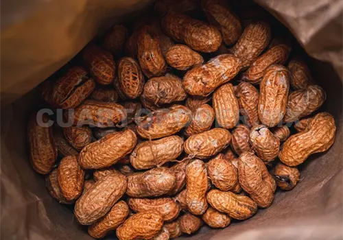 La entidad, tercer lugar en producción de cacahuate La entidad, tercer lugar en producción de cacahuate