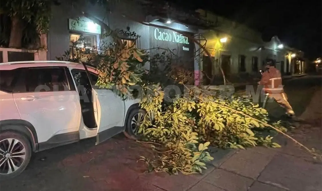 Una enorme rama se desplomó sobre una camioneta estacionada en la calle Pedro Moreno, en el barrio de Santa Lucía. Manuel Martínez / CP