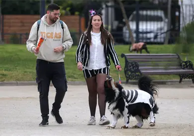 Llaman a reconocer violencia familiar a trav&eacute;s de animales