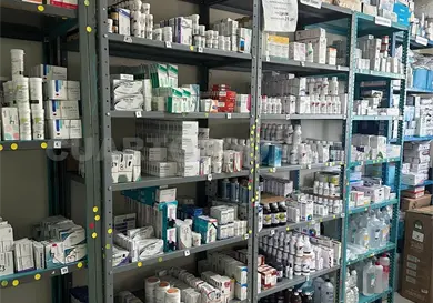 Pueden plantas sustituir a los medicamentos Pueden plantas sustituir a los medicamentos