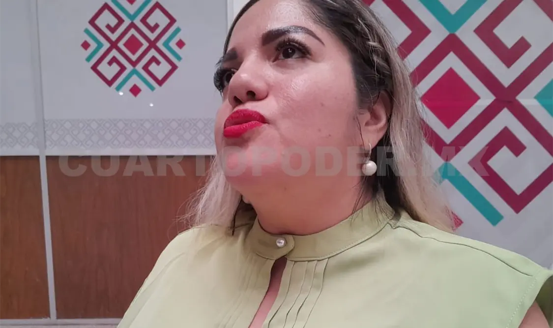 La diputada expone la necesidad de crear leyes para este sector. CP