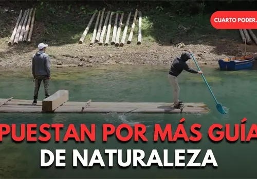 Avanza profesionalizaci&oacute;n de gu&iacute;as en Chiapas