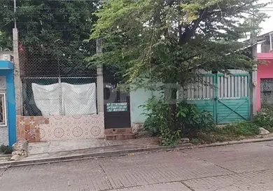 Reportan que plaga de ratas invade viviendas