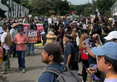 Justifica Montiel presencia de morenistas en marchas