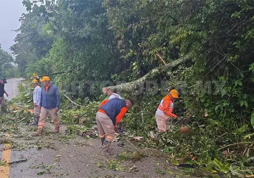 Da&ntilde;os en 15 viviendas y carreteras con deslaves