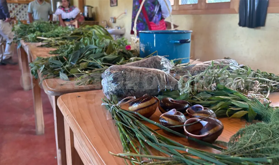 Los eventos conmemorativos del INPI se desarrollaron en una escuela que próximamente cosechará plantas medicinales. Jofiel Domínguez / CP