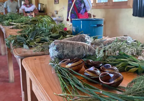 Buscan preservar la medicina tradicional
