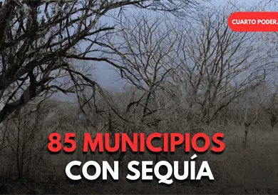 Registran 85 municipios alg&uacute;n grado de sequ&iacute;a
