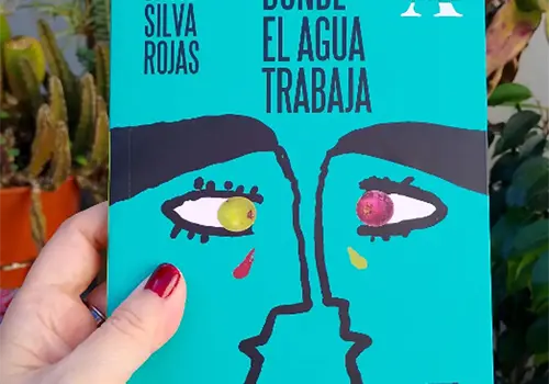 Almad&iacute;a suspende promoci&oacute;n de novela