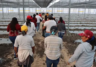 Piden a productores no caer en extorsiones