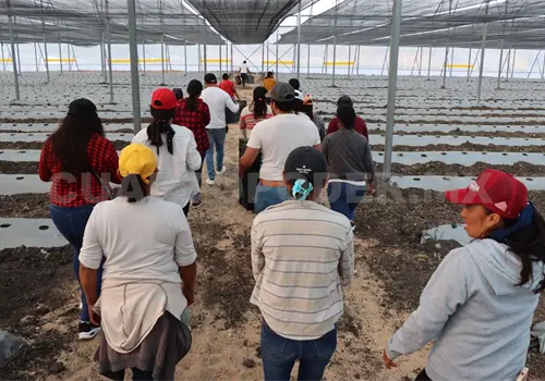 Piden a productores no caer en extorsiones