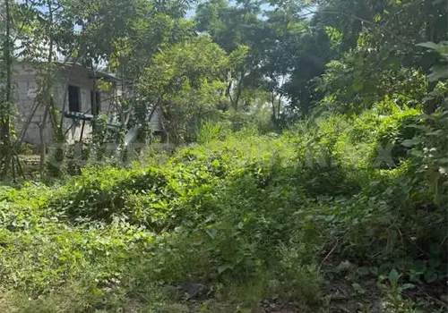 Denuncian invasión en márgenes del río Coatán Denuncian invasión en márgenes del río Coatán