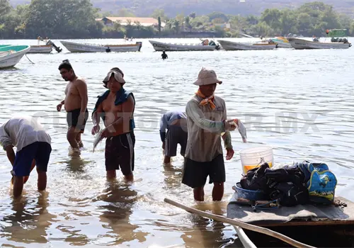 Realizan asambleas informativas con las y los pescadores Realizan asambleas informativas con las y los pescadores