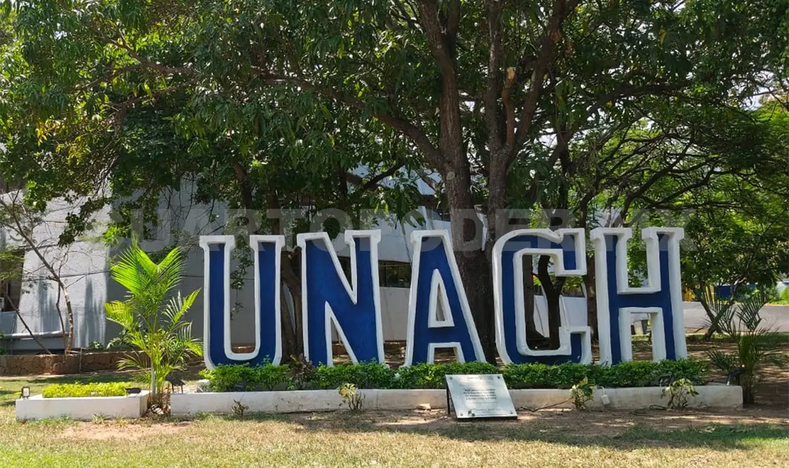 Se fortalece la documentación de la identidad genética del “Plátano Chiapas”. Cortesía