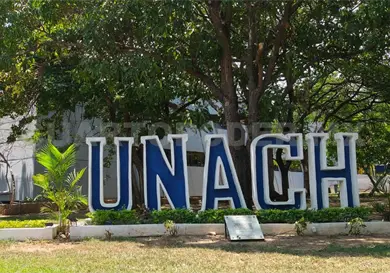 Registran huella gen&eacute;tica del Pl&aacute;tano Chiapas