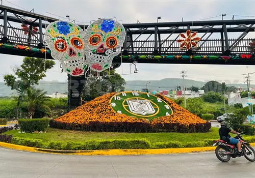 Reloj floral, el cempasúchil y la escasez Reloj floral, el cempasúchil y la escasez