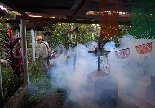 Fumigan panteones del Soconusco Fumigan panteones del Soconusco
