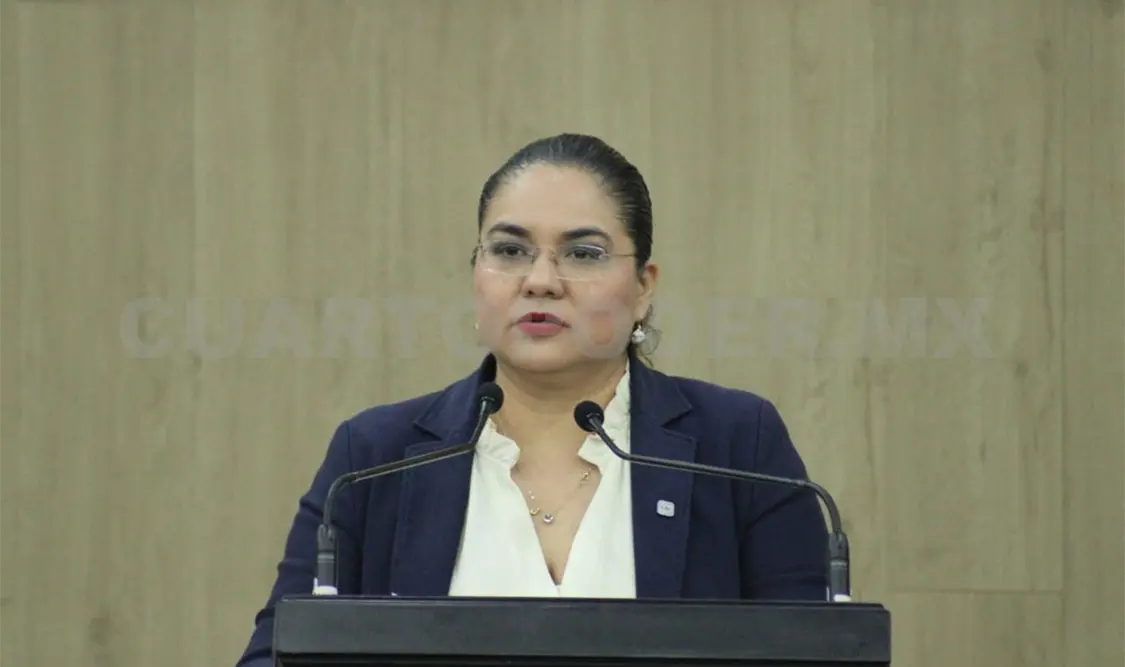 La diputada expuso que la legislación no debe olvidarse de este sector vulnerable. CP