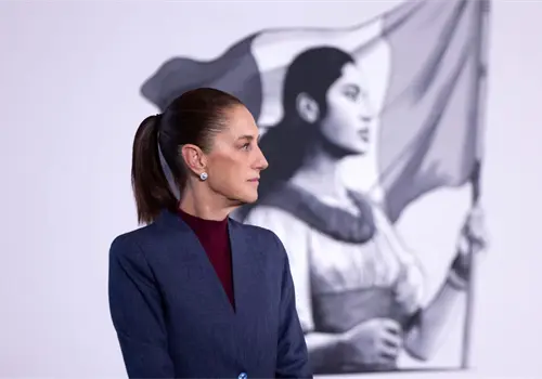 LA PRESIDENTA CLAUDIA SHEINBAUM EXHIBE VIDEO DE 2014: CONSEJO GENERAL DEL INE AVAL&Oacute; A GUADALUPE TADDEI CON 10 VOTOS A FAVOR