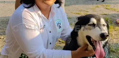 Esterilizan más de 400 animales de compañía Esterilizan más de 400 animales de compañía