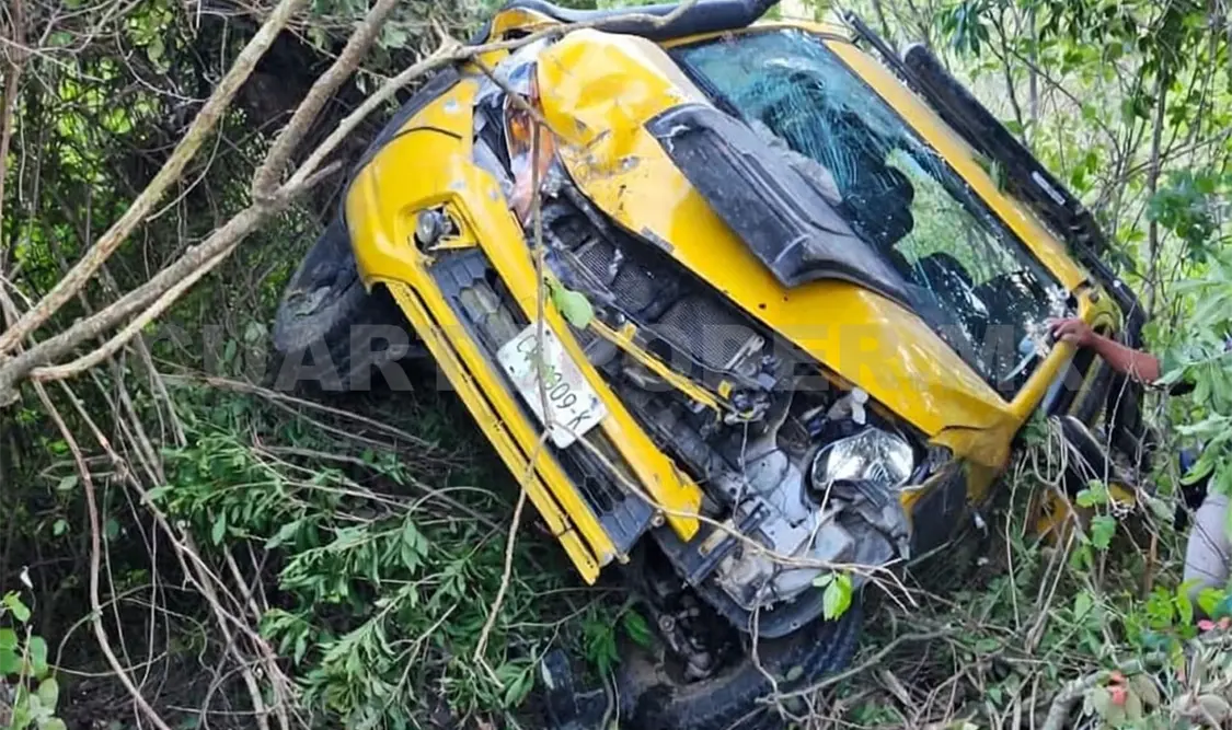 La Mitsubishi volcó entre la maleza, supuestamente por el exceso de velocidad. Cortesía